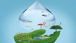 Milli Parklar: Kutlu Olsun