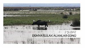 Peyzaj Mimarları Odası: Sulak alanlar mutlak suretle korunmalıdır