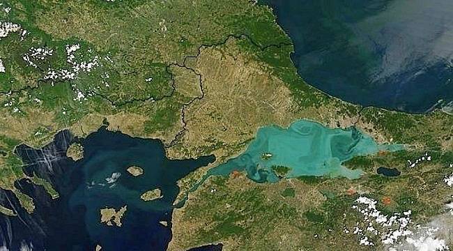 TEMA Vakfı açıklama yaptı!