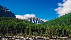 Bugün 'Nevruz Bayramı'