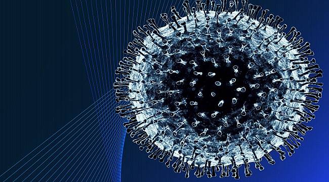 Coronavirus COVID-19: Facts and Insights