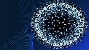 Coronavirus COVID-19: Facts and Insights