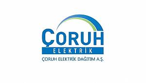 Elektrik aboneleri: Sayaç okumalarını telefon ya da fotoğrafla şirkete bildirecek