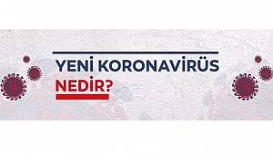 Enerji Çalışanları Önemli: Nedir, Nasıl bulaşır? (VİDEO)