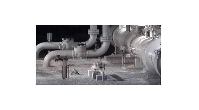 Kızıl Şahin ile Tilki&#039;nin mücadelesi!