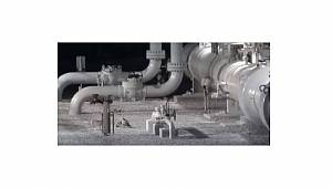 Kızıl Şahin ile Tilki'nin mücadelesi!