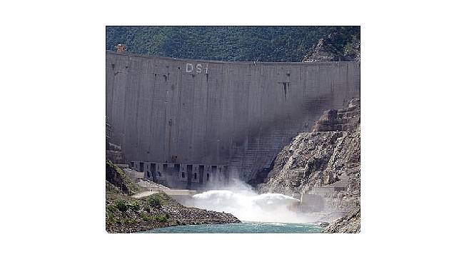 Özelliklerini biliyor musunuz?