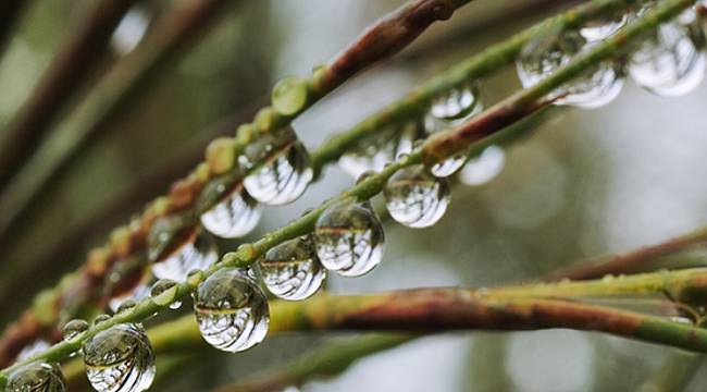 WWF - Türkiye: Ellerimizi yıkarken mutlaka suyu kapatmalı ve boşa akıtmamalıyız