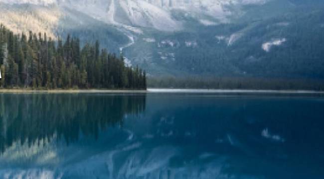 Bugün &#039;Dünya Günü&#039;