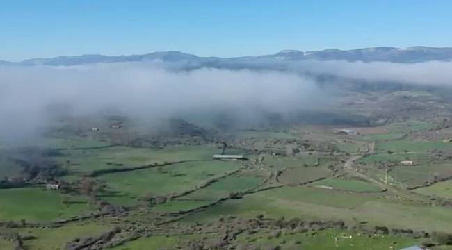 TEMA Vakfı: İptal edildi