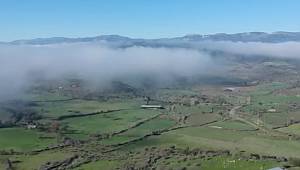 TEMA Vakfı: İptal edildi