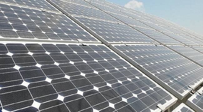 ENSİA: &#039;Kilogram başına 25 ABD doları olarak belirlendi...&#039;