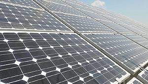 ENSİA: 'Kilogram başına 25 ABD doları olarak belirlendi...'