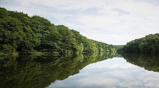 İstanbul&#039;un barajlarında son durum!