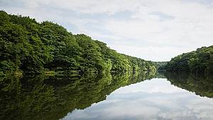 İstanbul'un barajlarında son durum!