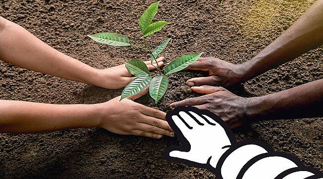 Michelin: Tüm üretim tesislerindeki CO2 emisyonlarında ‘net sıfır’ taahhütü...