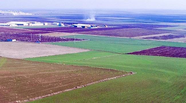 TEMA Vakfı: Danıştay &#039;Büyük ovaya termik santralde kamu yararı yok&#039;...