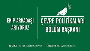 Ekip arkadaşı arıyoruz!