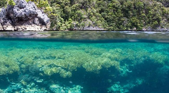 Bugün Dünya Çevre Günü!