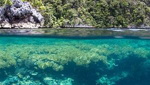 Bugün Dünya Çevre Günü!