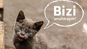 Boğaziçi Elektrik: Unutmayalım