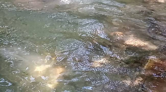 &#039;1 metreküp su kaç litredir?&#039; başlıklı haberimiz 42.427...