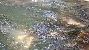 '1 metreküp su kaç litredir?' başlıklı haberimiz 42.427...