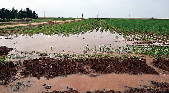 Dicle Elektrik: Tarımsal Sulama Tekniği Enerji Maliyetine Etkisi Araştırması...