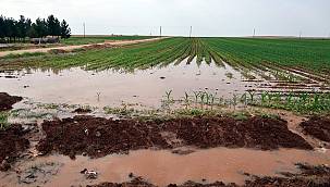 Dicle Elektrik: Tarımsal Sulama Tekniği Enerji Maliyetine Etkisi Araştırması...