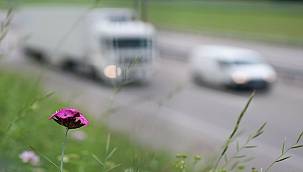 Hedef: Net Sıfır Emisyon - Çevresel, Sosyal ve Yönetişim Raporu'nu yayınladı