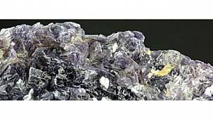 JESDER: İlk tesis İngiltere'de kuruluyor