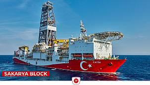 TPAO discovers a colossal gas field in Western Black Sea offshore ...