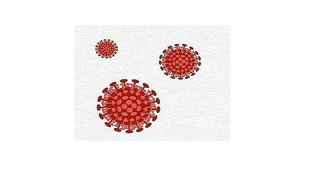 Enerji Çalışma ve Yöneticileri: Tarihteki Pandemiler – Salgınları biliyor musunuz?