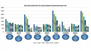 Hangi sektör - Ne kadar doğal gaz tüketti?