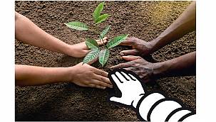 Michelin: Döngüsel lastik ekonomisinin oluşturulmasını destekliyor