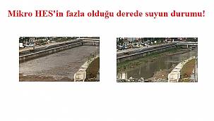 Mikro HES'lere 'Hem evet ve hem de hayır'