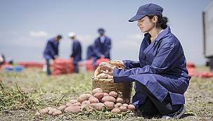PepsiCo: 2 fabrikasında Elektrik tüketiminin yüzde 50 - 75'ini biyogaz ve solar enerjiden karşılıyor