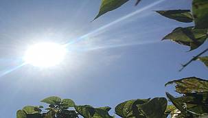 Renewable energy milestones...