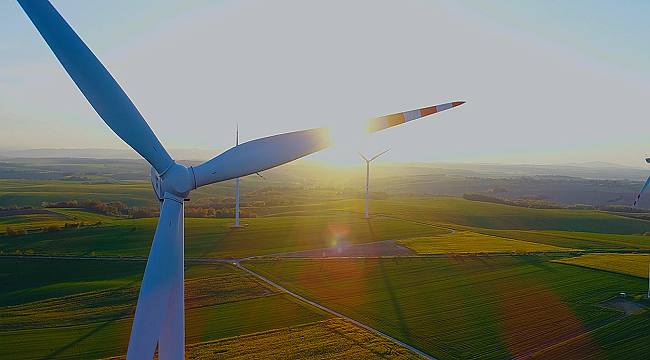 Signify karbon nötr olmayı başardı!