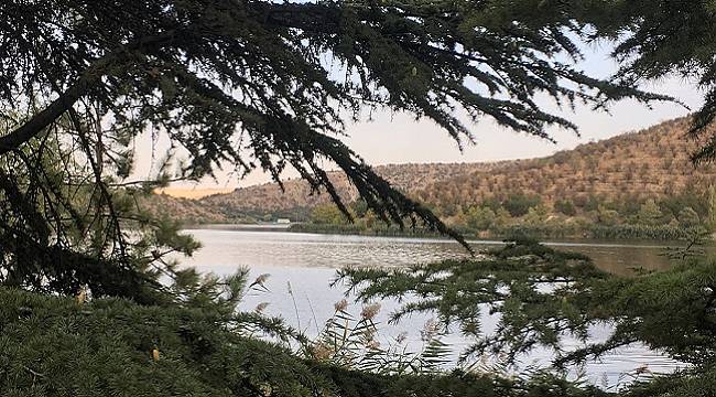 Sonbaharda fotoğraflarla &#039;ODTÜ Eymir Gölü&#039;