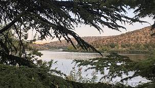 Sonbaharda fotoğraflarla 'ODTÜ Eymir Gölü'