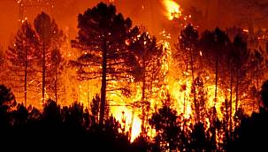 Aksa Doğalgaz: Geçmiş Olsun