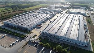 Daikin 3 ayda 26 bin ağacı kurtardı