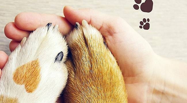 İPRAGAZ: Kutlu Olsun