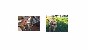 OYAK bünyesindeki M OIL ve HEKTAŞ: 4 Ekim Dünya Hayvanları Koruma Günü’nde...