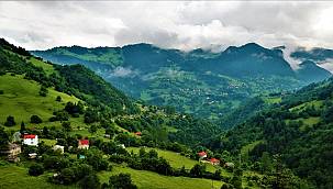 Türkiye ormanları sera gazı salınımının yüzde 16’sını tutuyor