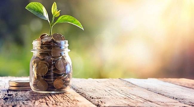 816 bin ağacın temizleyeceği kadar kirliliği azalttı!