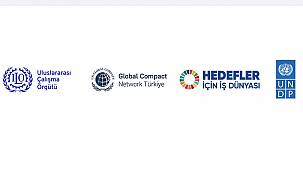 Enerji Şirketleri: COVID-19 Hızlı Öz Değerlendirme Aracı - UNDP  geliştirdi...