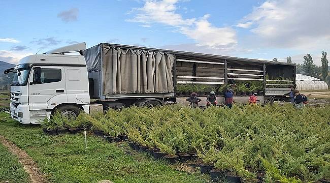 Milli Ağaçlandırma Günü için fidanlar hazır