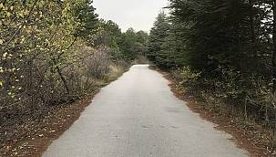 ODTÜ Eymir'de sonbahar!